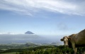 O Pico visto desde o Faial.